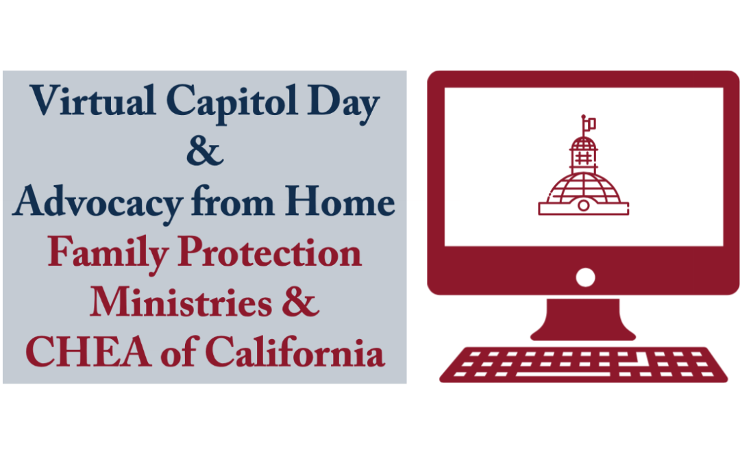 Virtual Capitol Day 2021 and Advocacy from Home: An Adventure in Flexibility and Technology!