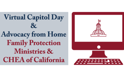 Virtual Capitol Day 2021 and Advocacy from Home: An Adventure in Flexibility and Technology!