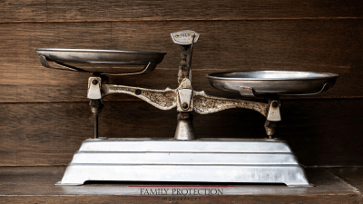 The Counterweight: Inhibiting Excess in Government