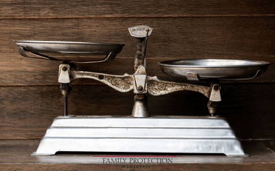 The Counterweight: Inhibiting Excess in Government