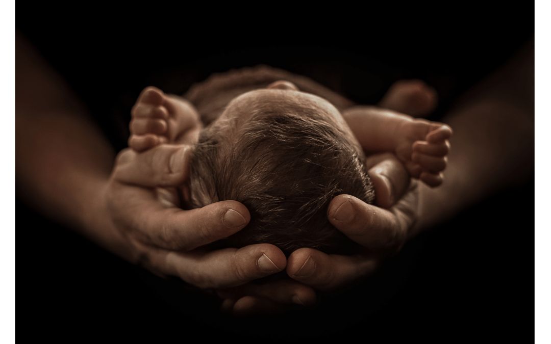 AB 1057: Home Visitation Program