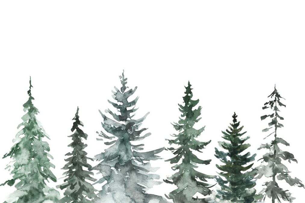 December Prayer Newsletter