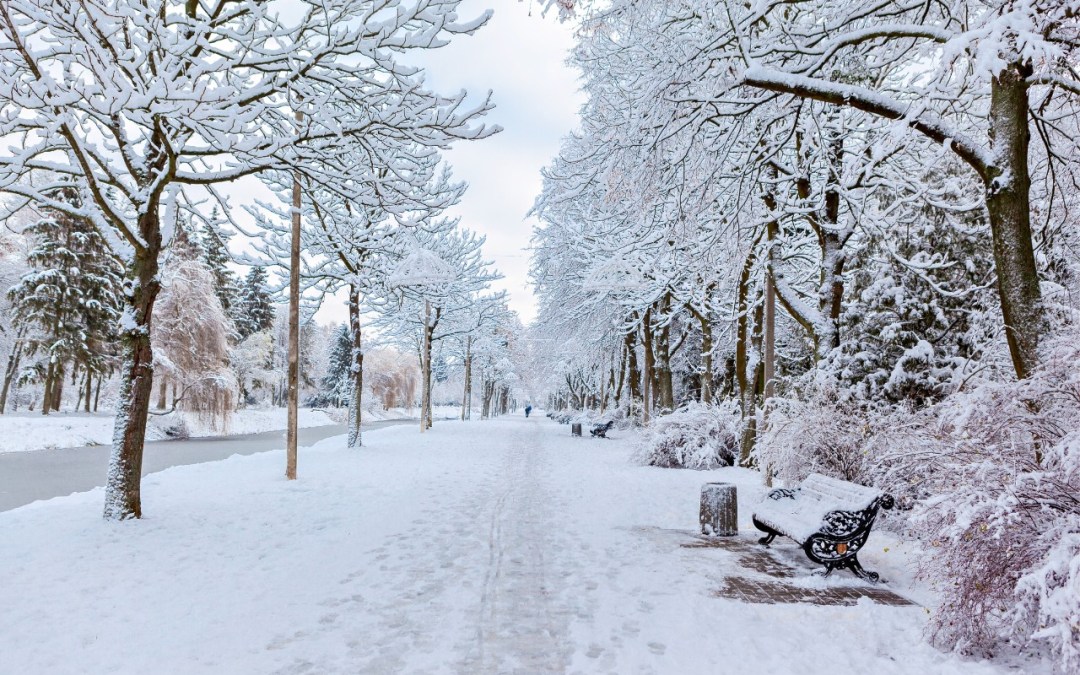 January Prayer Newsletter