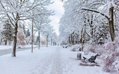 January Prayer Newsletter