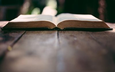 Jurisdictional Authority: What Does the Bible Say about Education?