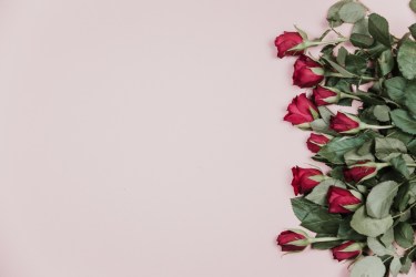 February Prayer Newsletter