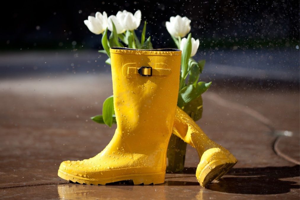 April Prayer Newsletter