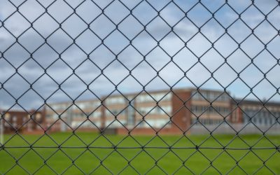 Information Page on AB 767